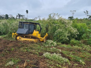Limpeza de Terreno em Campinas Limpeza de Terreno em Campinas
